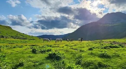 Read about <a href="https://www.thegonegoat.com/europe/hiking-peaks-of-balkans-accursed-mountains" target="_blank">her POB experience</a>