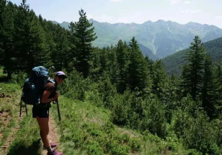 Cheout out their <a href="https://tmbtent.podia.com/c0090eec-2f4a-44f7-a80c-bec5ed8f61ce" target="_blank">POB Guide</a>