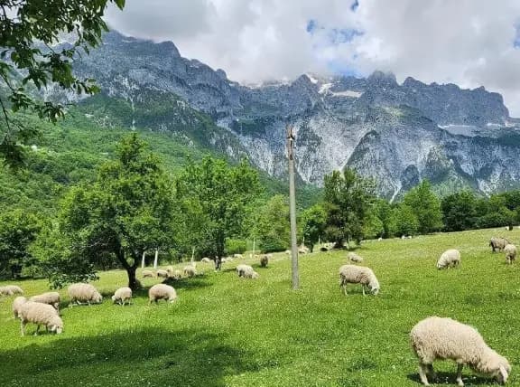 Read about <a href="https://www.thegonegoat.com/europe/hiking-peaks-of-balkans-accursed-mountains" target="_blank">her POB experience</a>